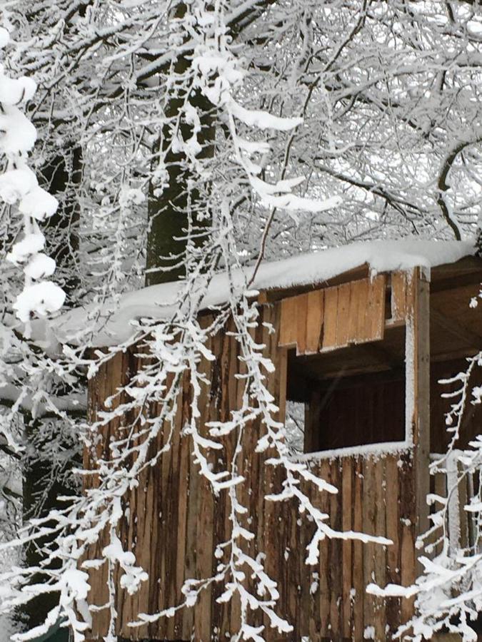 Ferienhaus Mone Monschau Eksteriør bilde